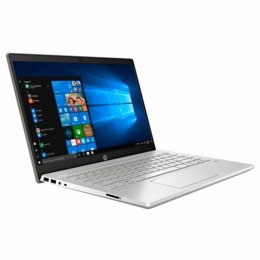 HP Pavilion 14-CE3010UR 14 (i5 1035G1/8Gb/SSD256Gb/iOpt32Gb/Intel UHD Graphics/IPS/FHD/Windows 10/WiFi/BT/Cam) Silver