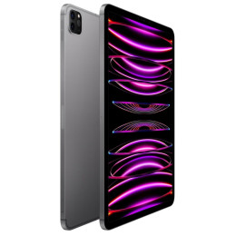 Apple iPad Pro 11" 1Tb (2022) Wi-Fi серый космос