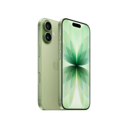 Смартфон Apple iPhone 17 512GB зеленый (nanoSIM + eSIM)